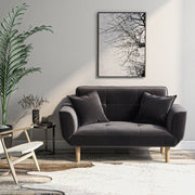 Sofa Bed Modern and Simple Gray Sofa Velvet with Grab Living Room 2 Seater Sofa Couch Settee Recliner Sleeper_0